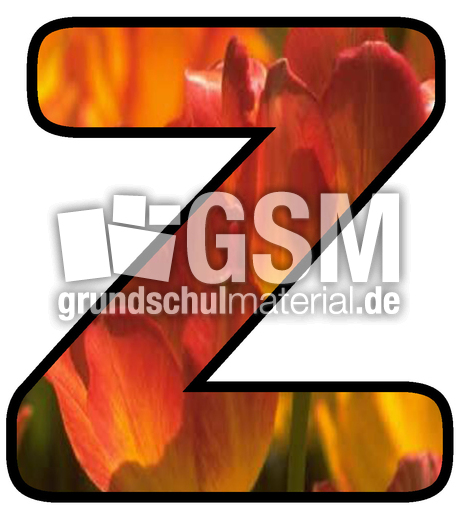 Dekobuchstaben-Tulpe_Z.jpg